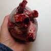 Realistic Human Heart Replica Prop - Image 3