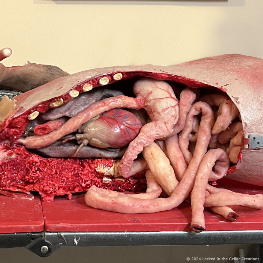 A look inside a prop body for someone about to spill their guts...